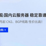 易探云独立服务器大优惠 香港100M大带宽服务器低至650元/月